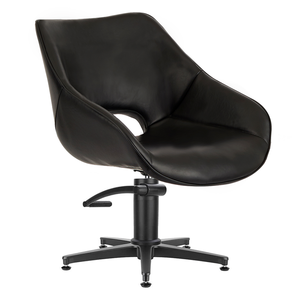 4109-BL Dawn Black B Capital B Hyd